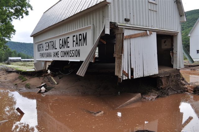 Game Farm Game Farm